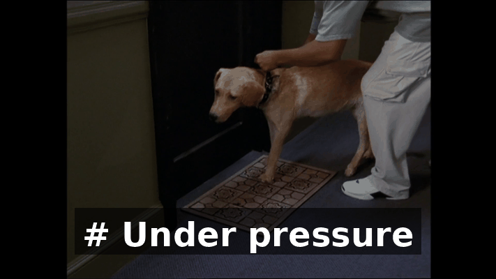 1ba27b41-ce82-45cb-9e83-eefdf57a6db2.gif