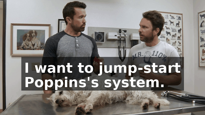285b09eb-e436-4d3b-a4a3-8797e7fcf9ce.gif