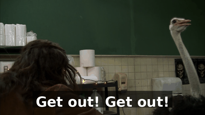 2909c141-ea58-4102-a01c-ef70b85ae8a3.gif