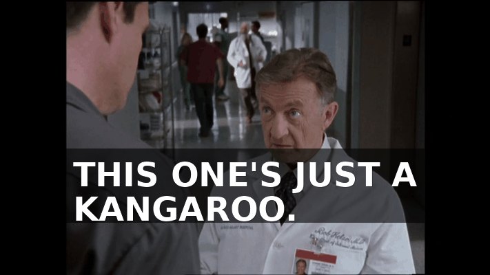 44fdcb1e-4b0e-4fe3-a808-2790dfd9fd07.gif