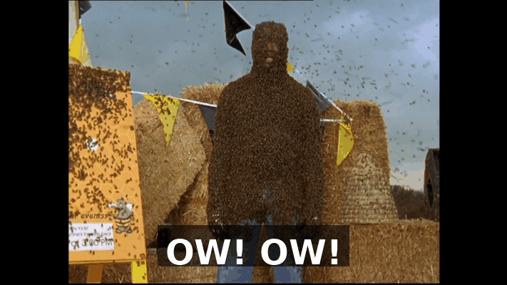 4c3a3a29-e7aa-46e6-8093-899c9675a8ca.gif
