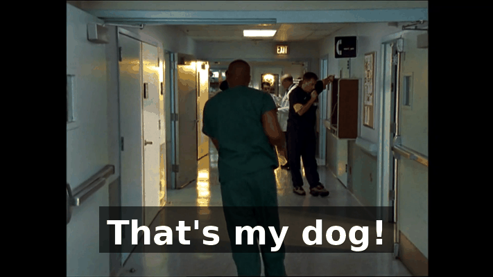 d191304d-cd75-485a-8eb9-bb155b53a5c8.gif