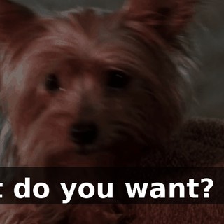 37cef124-c939-44bf-b71b-e5b7e9c3ca06.gif