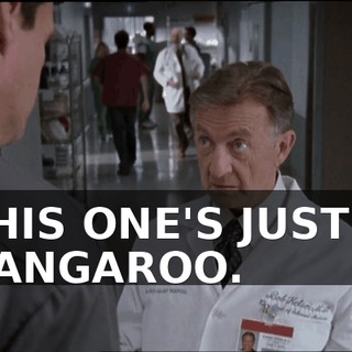 44fdcb1e-4b0e-4fe3-a808-2790dfd9fd07.gif