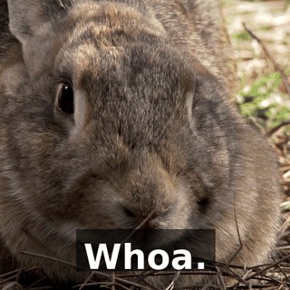 4bbc047a-a8a0-4f2c-9063-c48069aeb3d1.gif