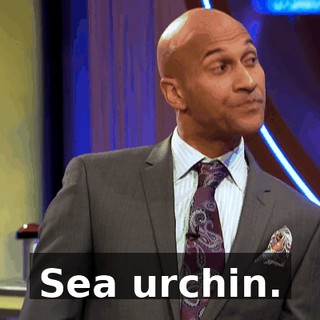 8da80a47-7196-4e40-87e9-4e184ad4d5ff.gif