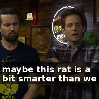 919e6385-e7dc-4bb9-8c02-b2b54716940e.gif