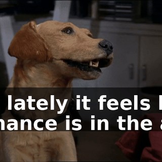 ae3cfcc2-0f2f-4626-9cec-ab270e132ca5.gif