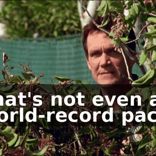 b1e84d1d-e53e-4ece-a914-db02d4f42083.gif