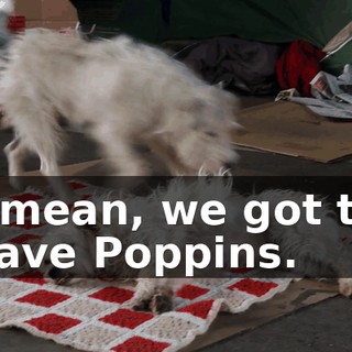 b4c71d10-5f22-4e6d-a474-e371b883b97c.gif