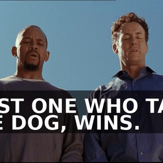 c8b3e78c-ac91-489f-bc69-6ed751f891dc.gif