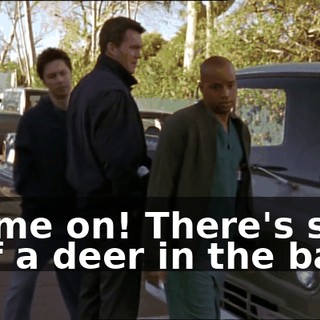 d2b057fb-b1cd-4f04-9247-dc4e16e5890f.gif