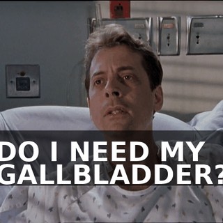 f637eee4-8e8d-4fdb-bf75-31c9aed7e763.gif